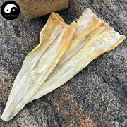 Yu Chun 鱼唇, Fish Lips, Health Tonic Soup-Health Wisdom™