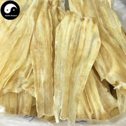 Yu Chun 鱼唇, Fish Lips, Health Tonic Soup-Health Wisdom™