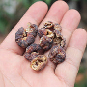 Yu Gan Zi 余甘子, Fructus Phyllanthi Tea, Phyllanthus Emblica Fruit, You Gan Cha 油柑茶-Health Wisdom™