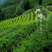 Yu Hua Cha 雨花茶 Nan Jing Chinese Green Tea Rain Flower Tea-Health Wisdom™