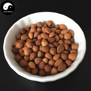 Yu Li Ren 郁李仁, Semen Pruni, Dwarf Flowering Cherry Seed, Chinese Dwarf Cherry Seed-Health Wisdom™