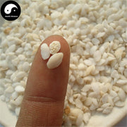 Yu Nao Shi 鱼脑石, Yellow Croaker Ear-stone, Asteriscus Pseudosciaenae-Health Wisdom™