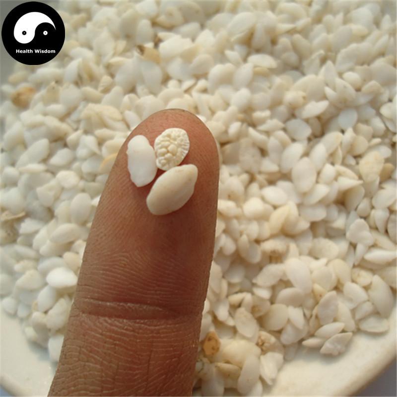 Yu Nao Shi 鱼脑石, Yellow Croaker Ear-stone, Asteriscus Pseudosciaenae-Health Wisdom™
