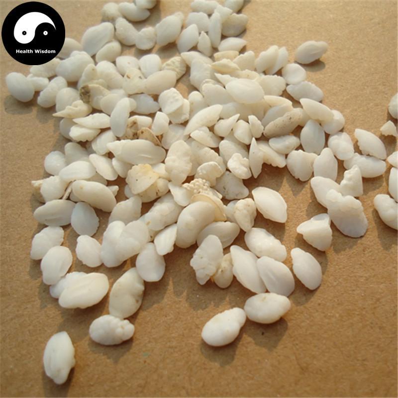 Yu Nao Shi 鱼脑石, Yellow Croaker Ear-stone, Asteriscus Pseudosciaenae-Health Wisdom™
