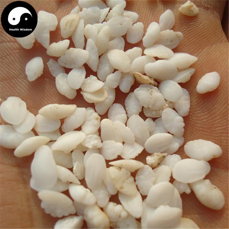 yu.nao Buy Best Herb Yu Nao Shi 鱼脑石, Yellow Croaker Ear-stone