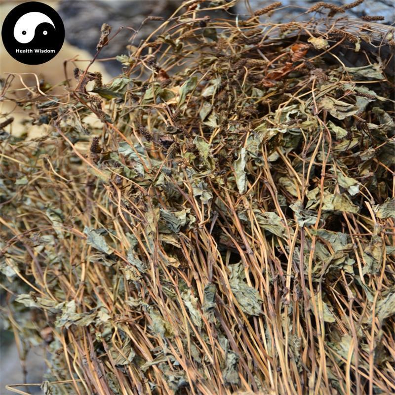 Yu Xing Cao 魚腥草, Herba Houttuyniae, Heartleaf Houttuynia Herb Tea-Health Wisdom™