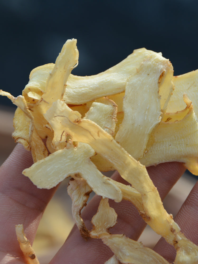 Yu Zhu 玉竹, Rhizoma Polygonati Odorati, Fragrant Solomonseal Rhizome-Health Wisdom™