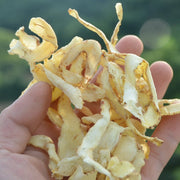 Yu Zhu 玉竹, Rhizoma Polygonati Odorati, Fragrant Solomonseal Rhizome-Health Wisdom™