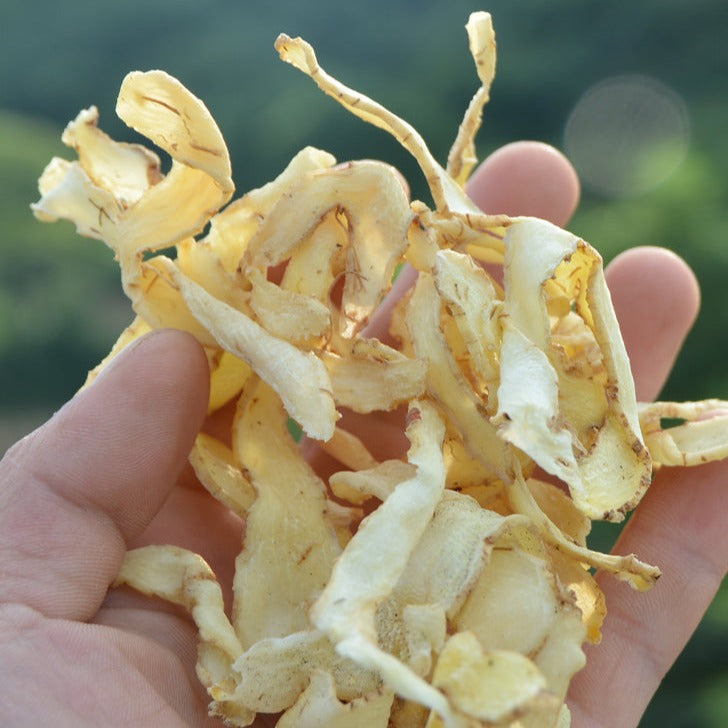 Yu Zhu 玉竹, Rhizoma Polygonati Odorati, Fragrant Solomonseal Rhizome-Health Wisdom™