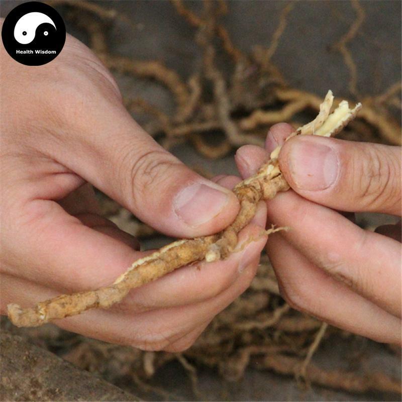 Yuan Zhi 远志, Radix Polygalae, Polygala Root-Health Wisdom™