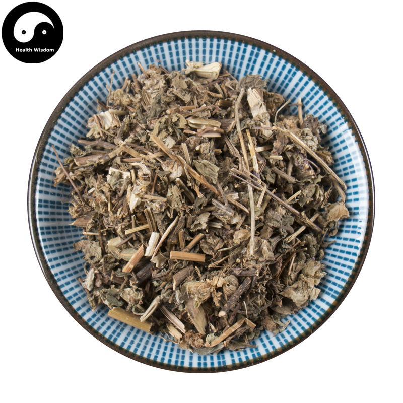 Yue Jian Cao 月见草, Herb Oenothera Biennis, Evening Primrose-Health Wisdom™