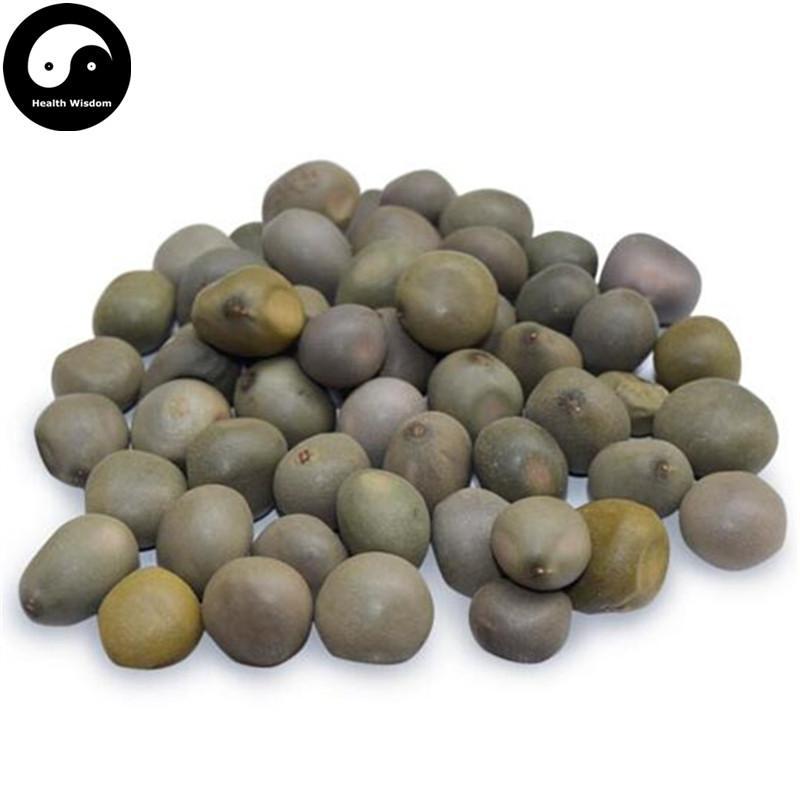Yun Shi 雲實, Semen Caesalpiniae Sepiariae, Mysorethorn Seed-Health Wisdom™