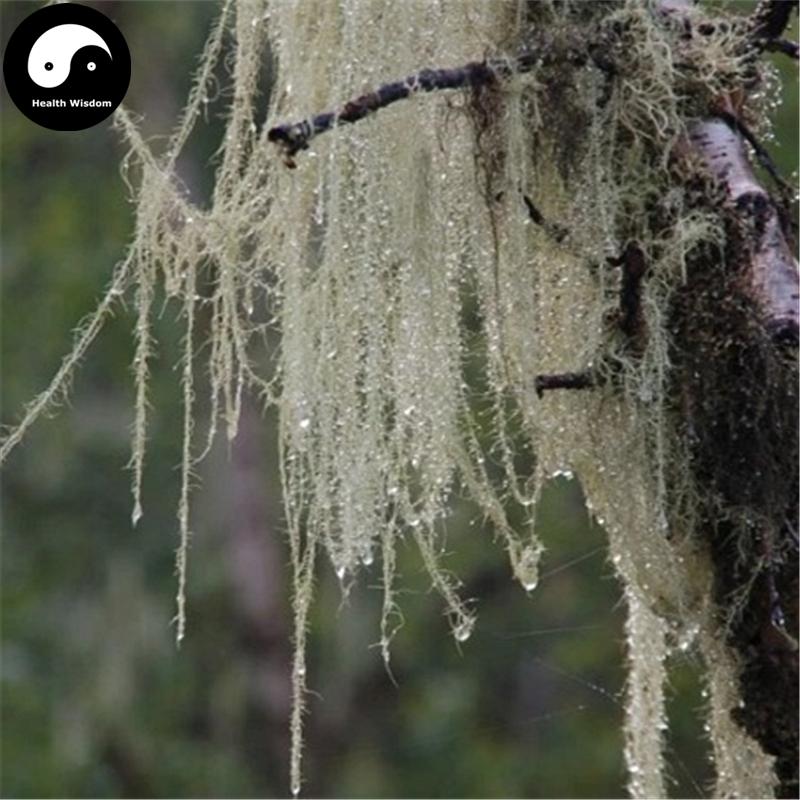 Yun Wu Cao 云雾草, Herba Androsace Henryi, Lao Jun Xu, Song Luo-Health Wisdom™