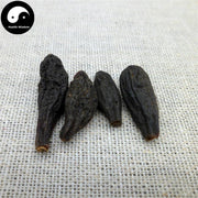 Zang Qing Guo 藏青果, Terminalia Chebula Fruit, Xi Qing Guo-Health Wisdom™