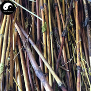 Zang Yin Chen 藏茵陈, Herba Swertia Mussotii Franch, Yin Chen Cha-Health Wisdom™