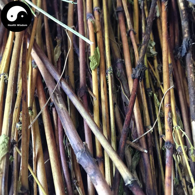 Zang Yin Chen 藏茵陈, Herba Swertia Mussotii Franch, Yin Chen Cha-Health Wisdom™