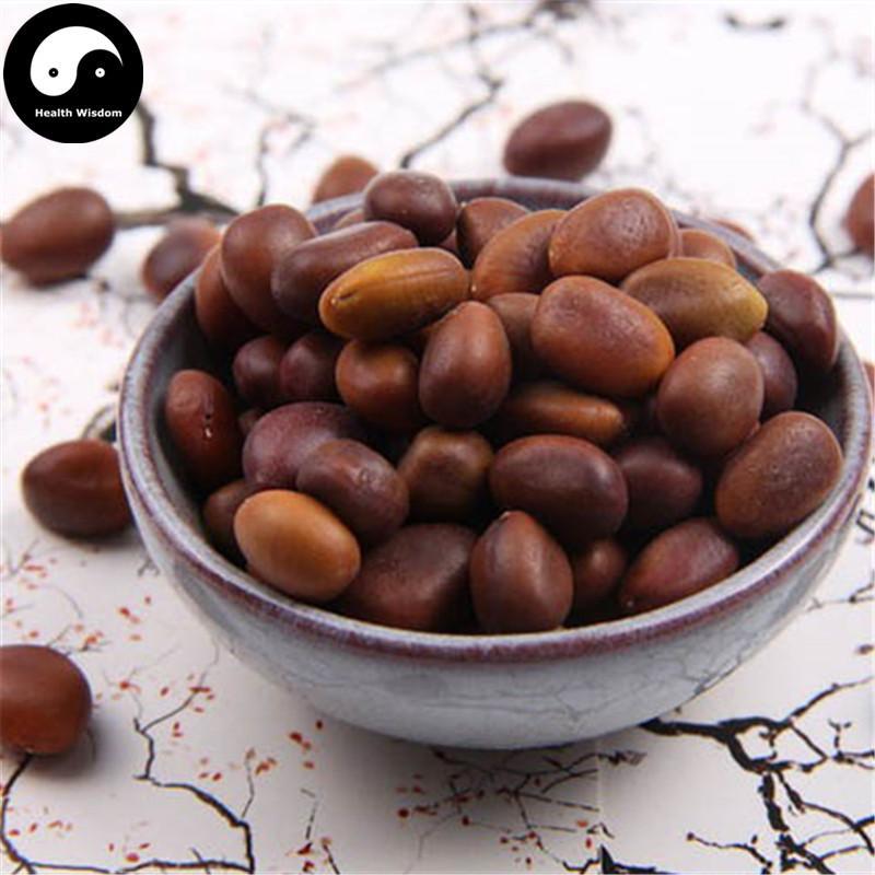 Zao Jia Zi 皂莢子, Zao Jiao Zi, Semen Gleditsiae Sinensis-Health Wisdom™