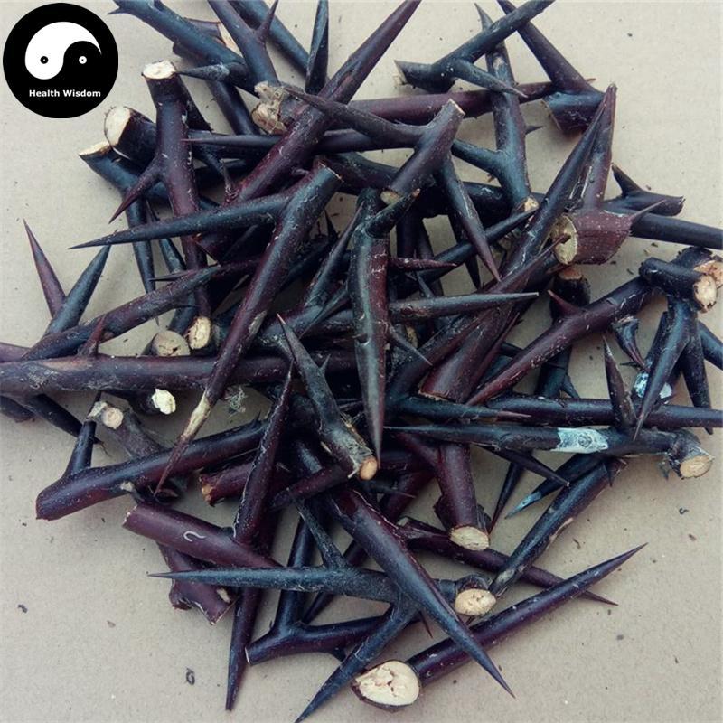 Zao Jiao Ci 皂角刺, Chinese Honeylocust Spine, 皂刺 Zao Ci, Spina Gleditsiae-Health Wisdom™