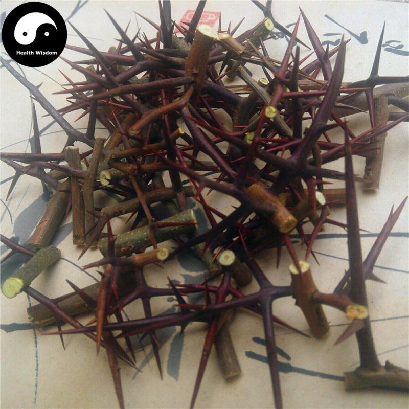 Zao Jiao Ci 皂角刺, Chinese Honeylocust Spine, 皂刺 Zao Ci, Spina Gleditsiae-Health Wisdom™
