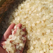 Zao Jiao Mi 皂角米, Zao Jiao Ren, Shuang Jia Xue Lian Zi, Semen Gleditsiae Sinensis-Health Wisdom™