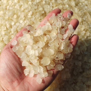 Zao Jiao Mi 皂角米, Zao Jiao Ren, Shuang Jia Xue Lian Zi, Semen Gleditsiae Sinensis-Health Wisdom™