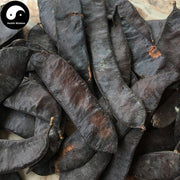 Zao Jiao 皂角, 	Fructus Gleditsiae, Chinese Honeylocust Abnormal Fruit-Health Wisdom™
