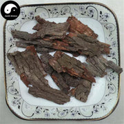 Zao Shu Pi 枣树皮, Cortex Ziziphus Jujuba, Chinese Date Bark-Health Wisdom™