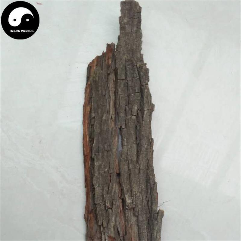 Zao Shu Pi 枣树皮, Cortex Ziziphus Jujuba, Chinese Date Bark-Health Wisdom™