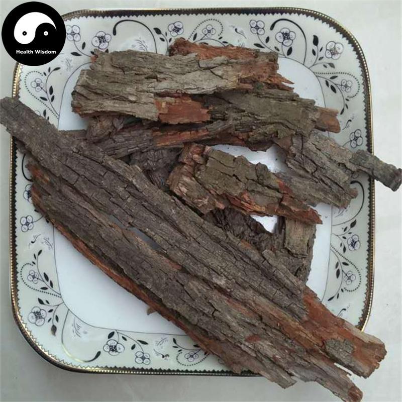 Zao Shu Pi 枣树皮, Cortex Ziziphus Jujuba, Chinese Date Bark-Health Wisdom™