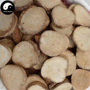 Ze Xie 澤瀉, Rhizoma Alismatis, Oriental Waterplantain Rhizome-Health Wisdom™