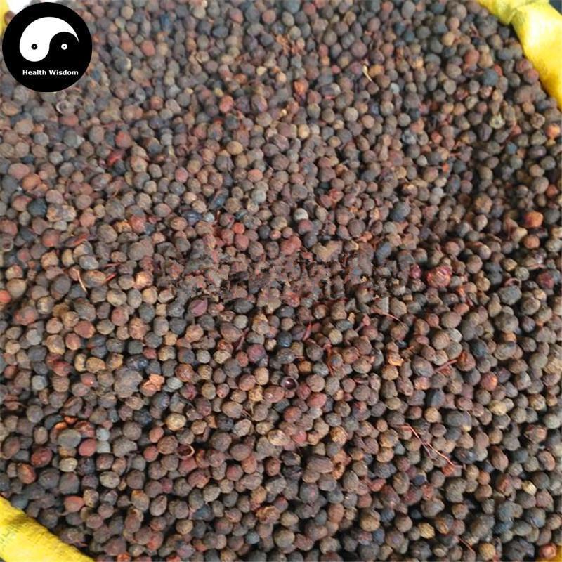 Zhang Li Zi 樟梨子, Zhang Shu Zi, Fructus Cinnamomi Camphorae Abnormalis-Health Wisdom™