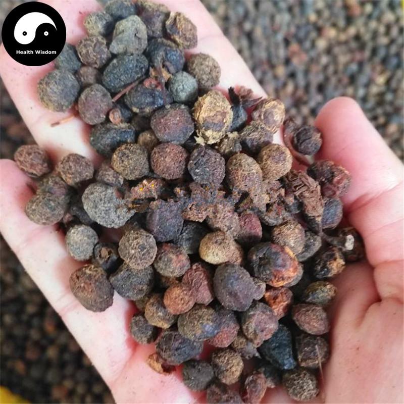 Zhang Li Zi 樟梨子, Zhang Shu Zi, Fructus Cinnamomi Camphorae Abnormalis-Health Wisdom™