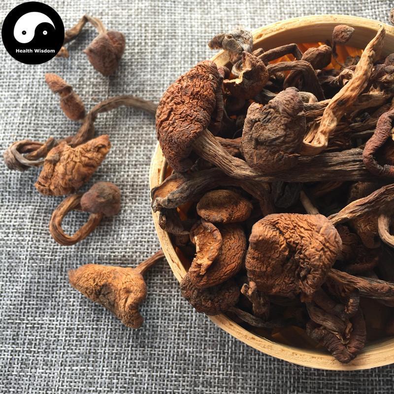 Zhen Mo 榛蘑, Hazel Dell Mushroom For Chinese Soup Cooking-Health Wisdom™