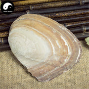 Zhen Zhu Mu 珍珠母, Concha Margaritifera Usta, Mother-of-Pearl Shell, Pteria, Nacre-Health Wisdom™