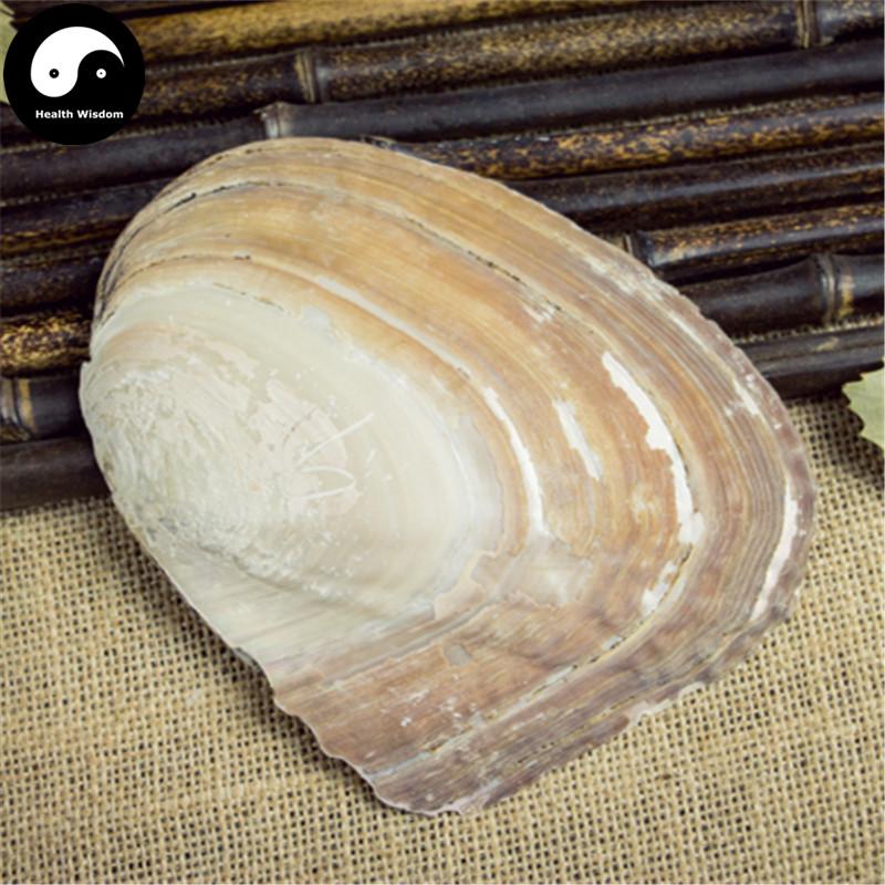 Zhen Zhu Mu 珍珠母, Concha Margaritifera Usta, Mother-of-Pearl Shell, Pteria, Nacre-Health Wisdom™