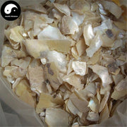 Zhen Zhu Mu 珍珠母, Concha Margaritifera Usta, Mother-of-Pearl Shell, Pteria, Nacre-Health Wisdom™