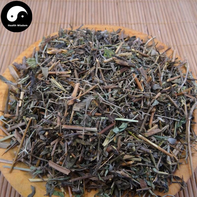 Zhen Zhu Tou Gu Cao 珍珠透骨草, Herba Speranskiae Tuberculatae, Tuberculate Speranskia Herb-Health Wisdom™