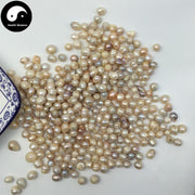 Zhen Zhu 珍珠, Margarita, Pearl, Pteria-Health Wisdom™