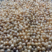 Zhen Zhu 珍珠, Margarita, Pearl, Pteria-Health Wisdom™
