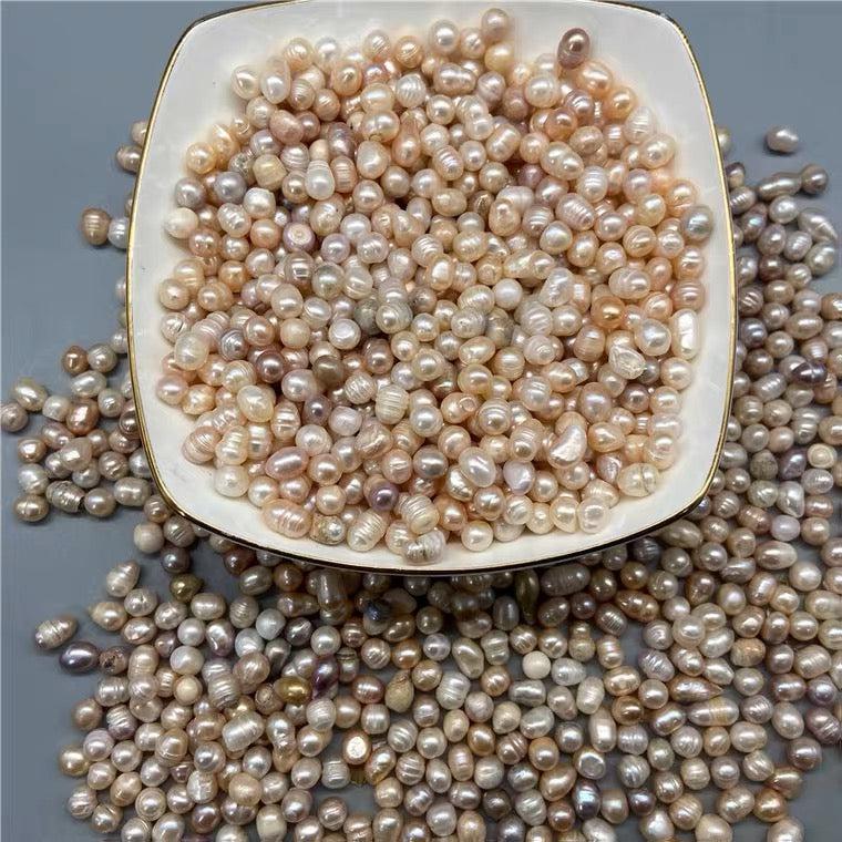 Zhen Zhu 珍珠, Margarita, Pearl, Pteria-Health Wisdom™