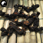 Zhi Huang Jing 制黃精, Rhizoma Polygonati, King Solomonseal Rhizome-Health Wisdom™
