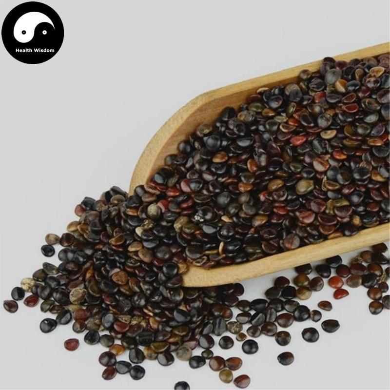 Zhi Ju Zi 枳椇子, Semen Hoveniae, Raisin Tree Seed, Guai Zao, Ji Zhua Li-Health Wisdom™