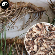 Zhi Mu 知母, Rhizoma Anemarrhenae, Common Anemarrhena Rhizome-Health Wisdom™