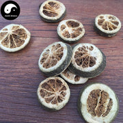 Zhi Qiao 枳壳, Zhi Ke, Fructus Aurantii, Bitter Orange-Health Wisdom™