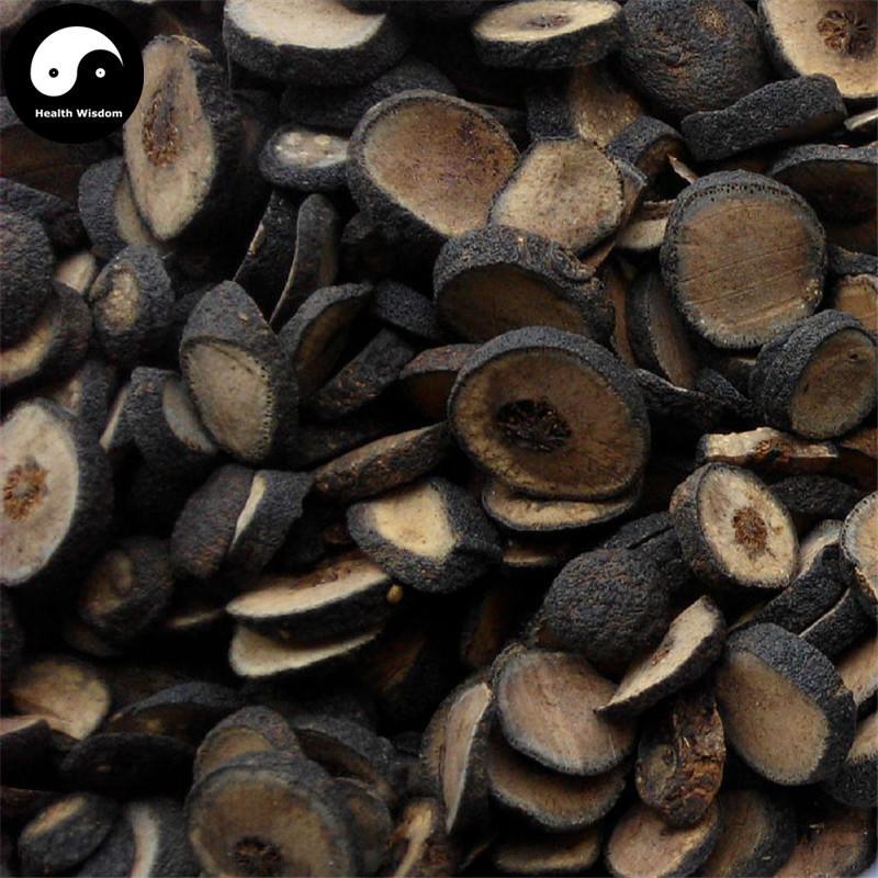 Zhi Shi 枳實, Fructus Aurantii Immaturus, Immature Bitter Orange-Health Wisdom™