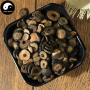 Zhi Shi 枳實, Fructus Aurantii Immaturus, Immature Bitter Orange-Health Wisdom™