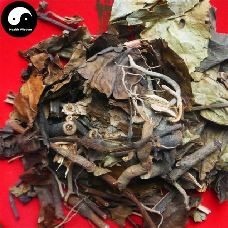 Zhong Jie Feng Fen 肿节风, Glabrous Sarcandra Powder, Herba Sarcandrae-Health Wisdom™