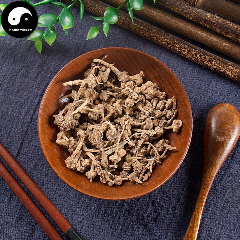 Zhu Er Shen 珠儿参, Rhizome Largeleaf Japanese Ginseng, Panax Japonicus-Health Wisdom™