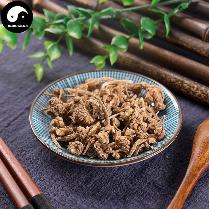 Zhu Er Shen 珠儿参, Rhizome Largeleaf Japanese Ginseng, Panax Japonicus-Health Wisdom™