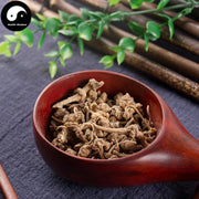 Zhu Er Shen 珠儿参, Rhizome Largeleaf Japanese Ginseng, Panax Japonicus-Health Wisdom™